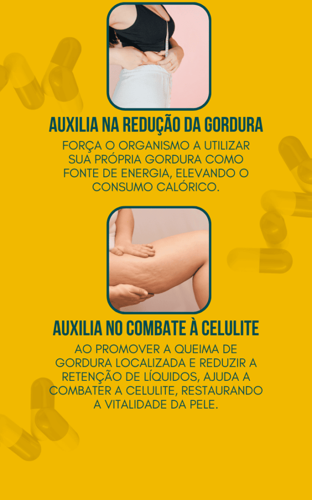 benefícios do InShape: auxilia na redução de gordura ao usar a gordura corporal como fonte de energia e no combate à celulite, melhorando a aparência da pele.