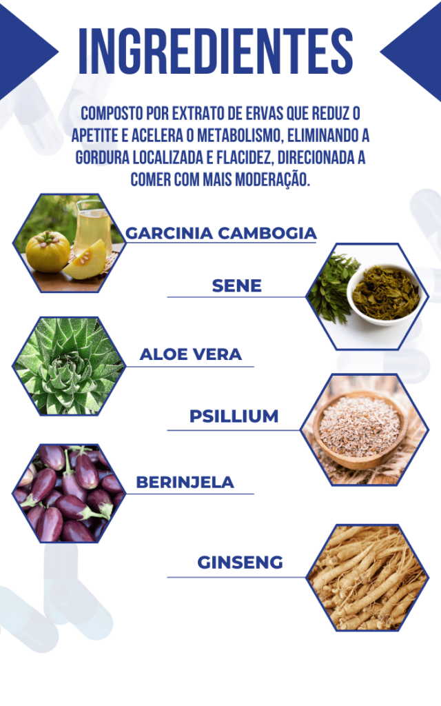 ingredientes naturais do suplemento Ki-Fit Turbo, incluindo Garcinia Cambogia, Sene, Aloe Vera, Psyllium, Berinjela e Ginseng.