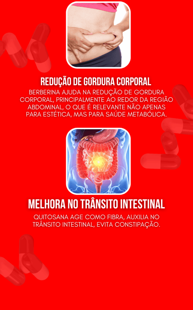 Redução de gordura corporal e melhora no trânsito intestinal com Ozem Shape